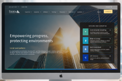 TRINITY CONSULTANTS WORDPRESS WEBSITE